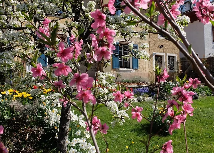 La Foyere 住宿加早餐酒店 拉普拉涅