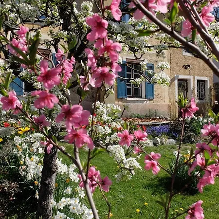 La Foyere Bed & Breakfast La Plagne