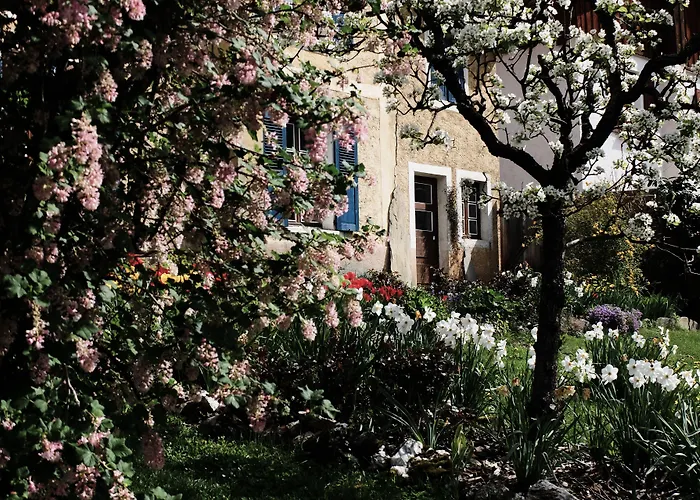 La Foyère Bed & Breakfast