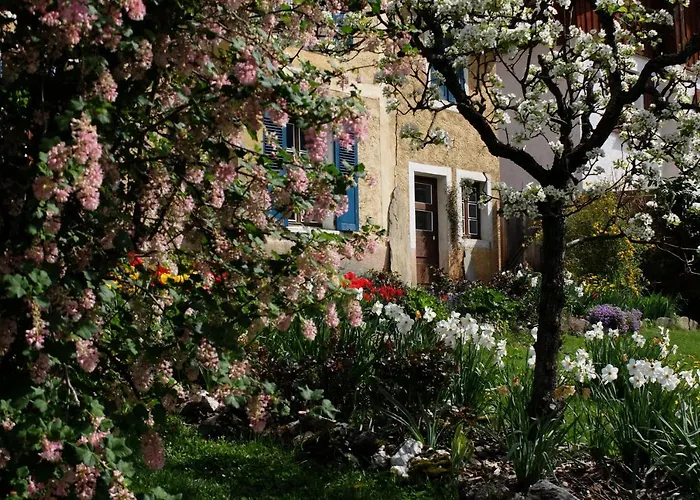 Bed & Breakfast La Foyère